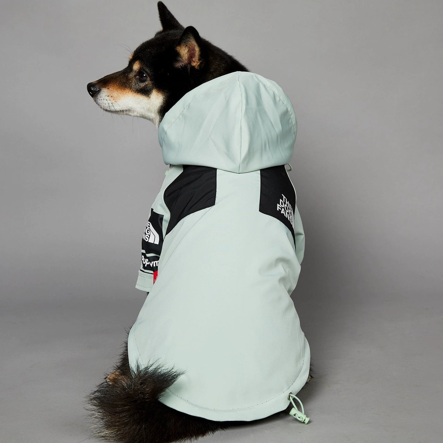 Windproof and Waterproof Outdoor Windbreaker for Large Dogs