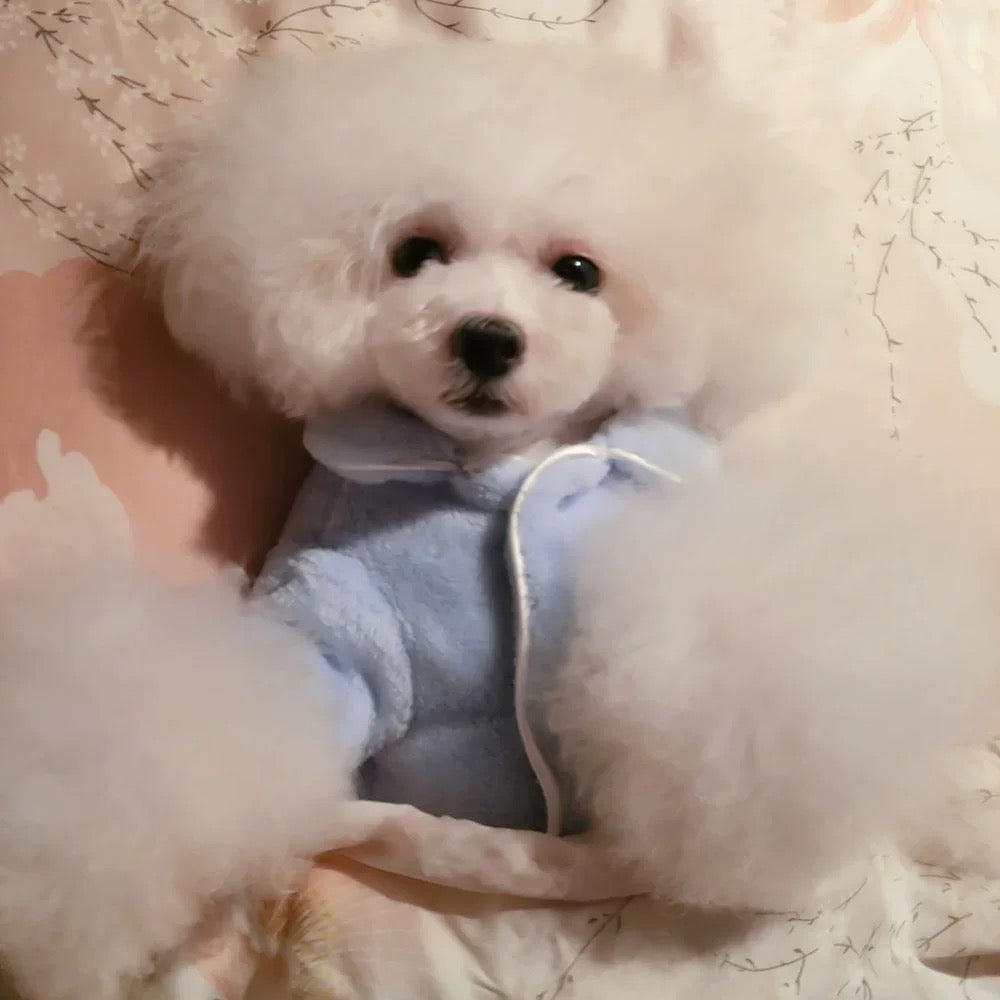 ' Victoria's Secret 'Dog Sherpa Pajama