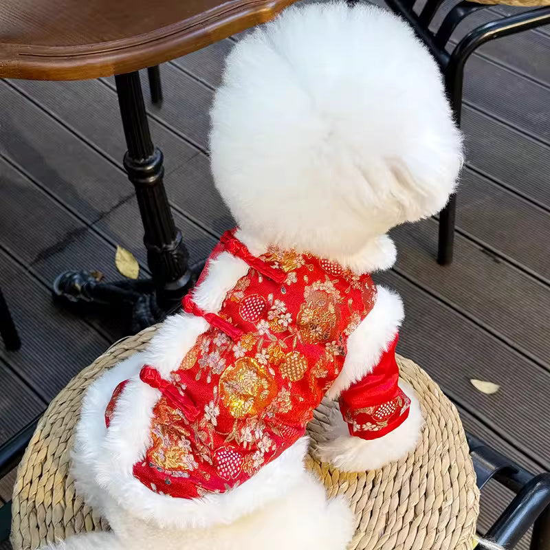 Chinese New Year Outfit