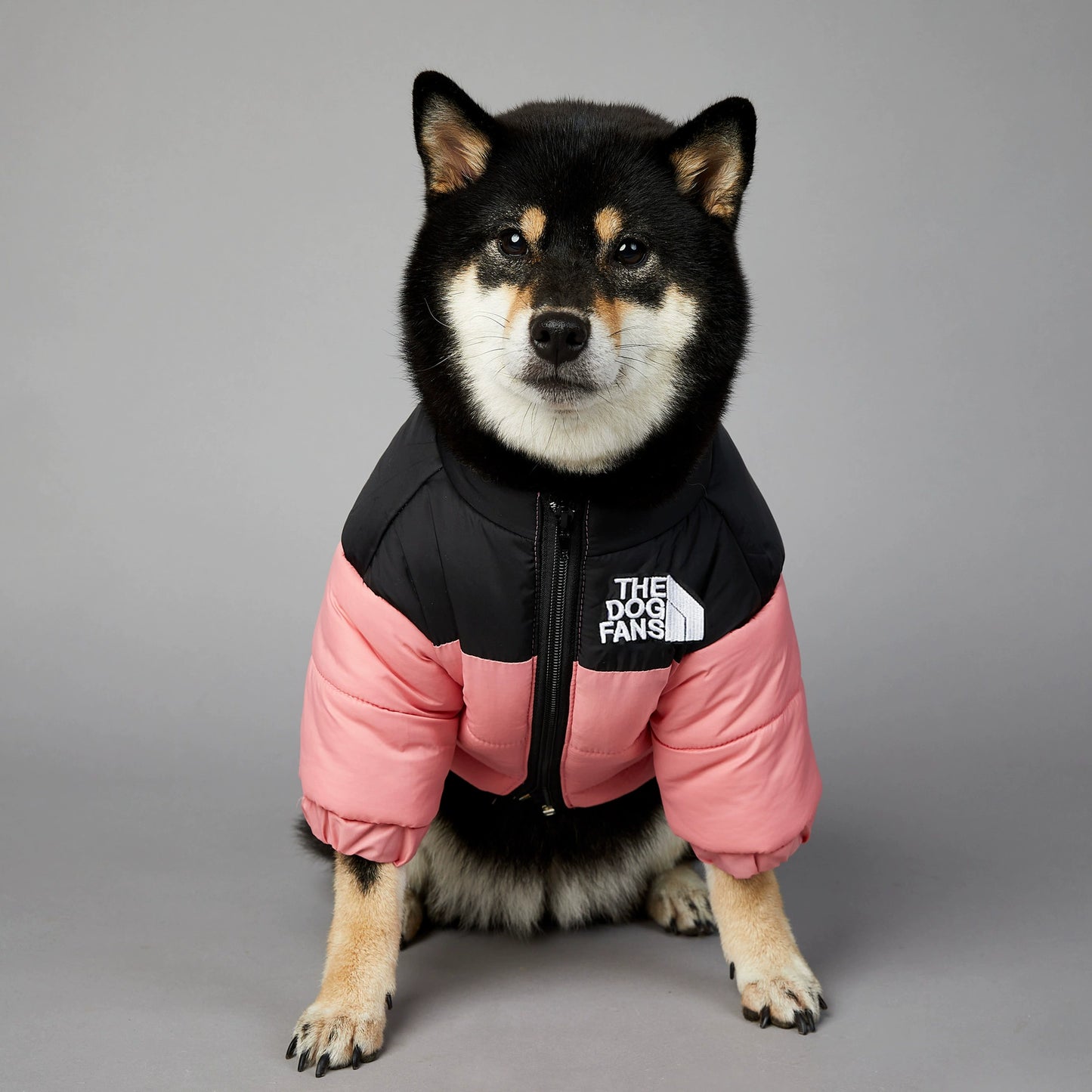 Large Dogs Outdoor Windbreaker(cotton)