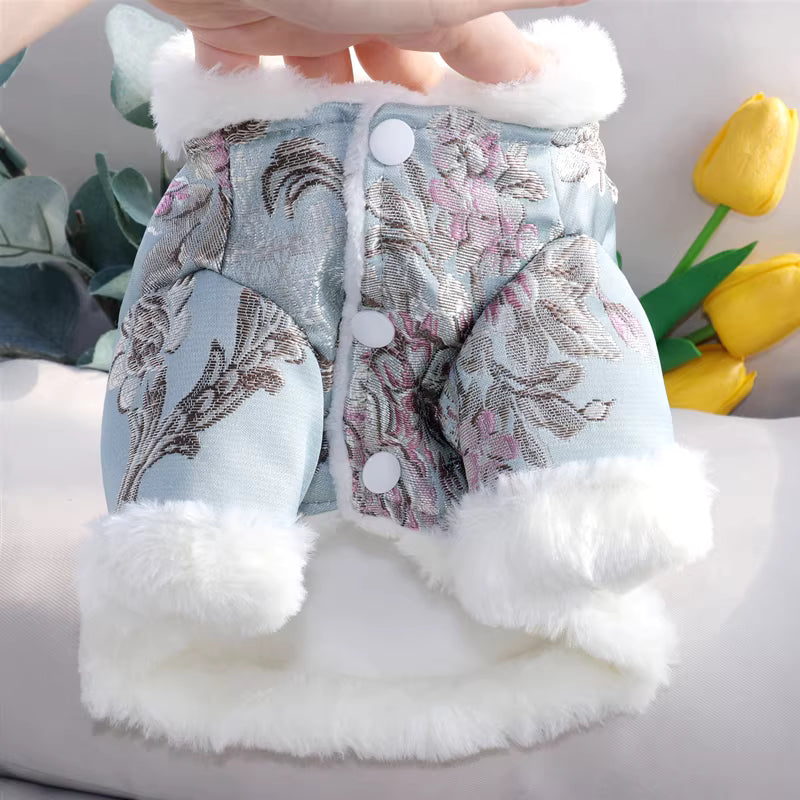Chinese Style Dog Tang Suit
