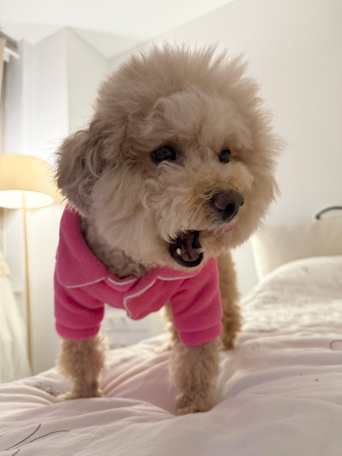 ' Victoria's Secret 'Dog Sherpa Pajama