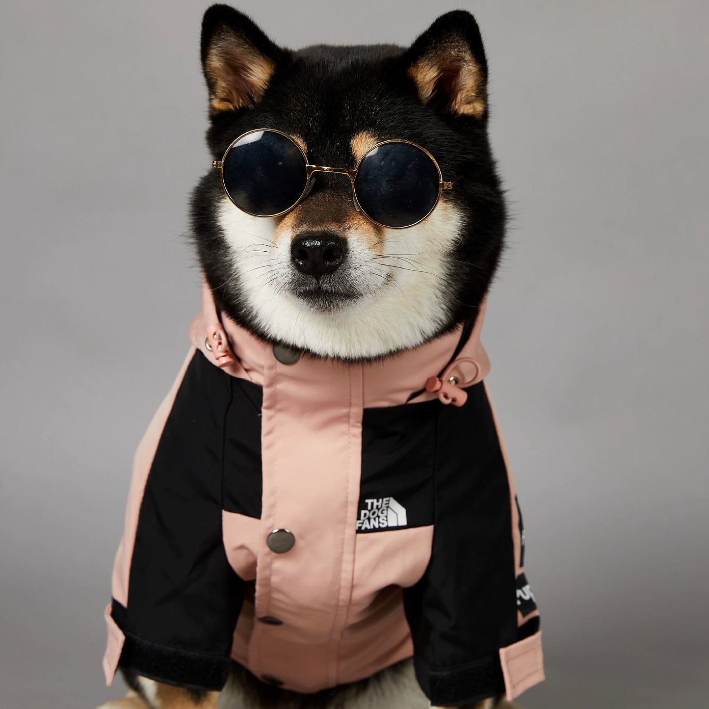 Windproof and Waterproof Outdoor Windbreaker for Large Dogs