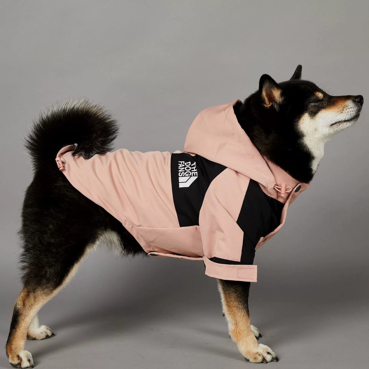 Windproof and Waterproof Outdoor Windbreaker for Large Dogs