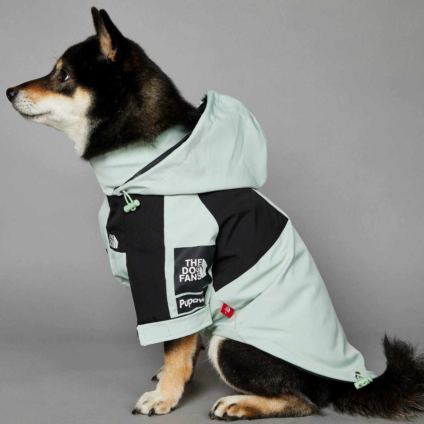 Windproof and Waterproof Outdoor Windbreaker for Large Dogs