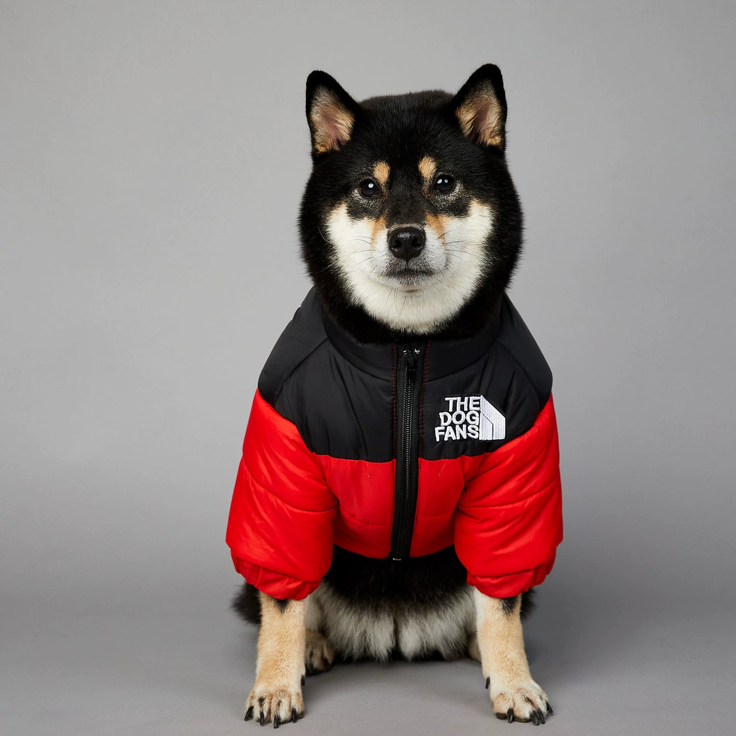 Large Dogs Outdoor Windbreaker(cotton)