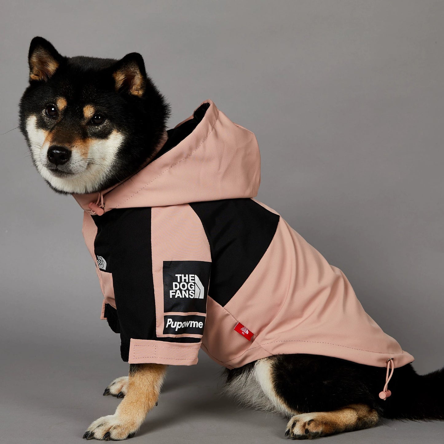 Windproof and Waterproof Outdoor Windbreaker for Large Dogs