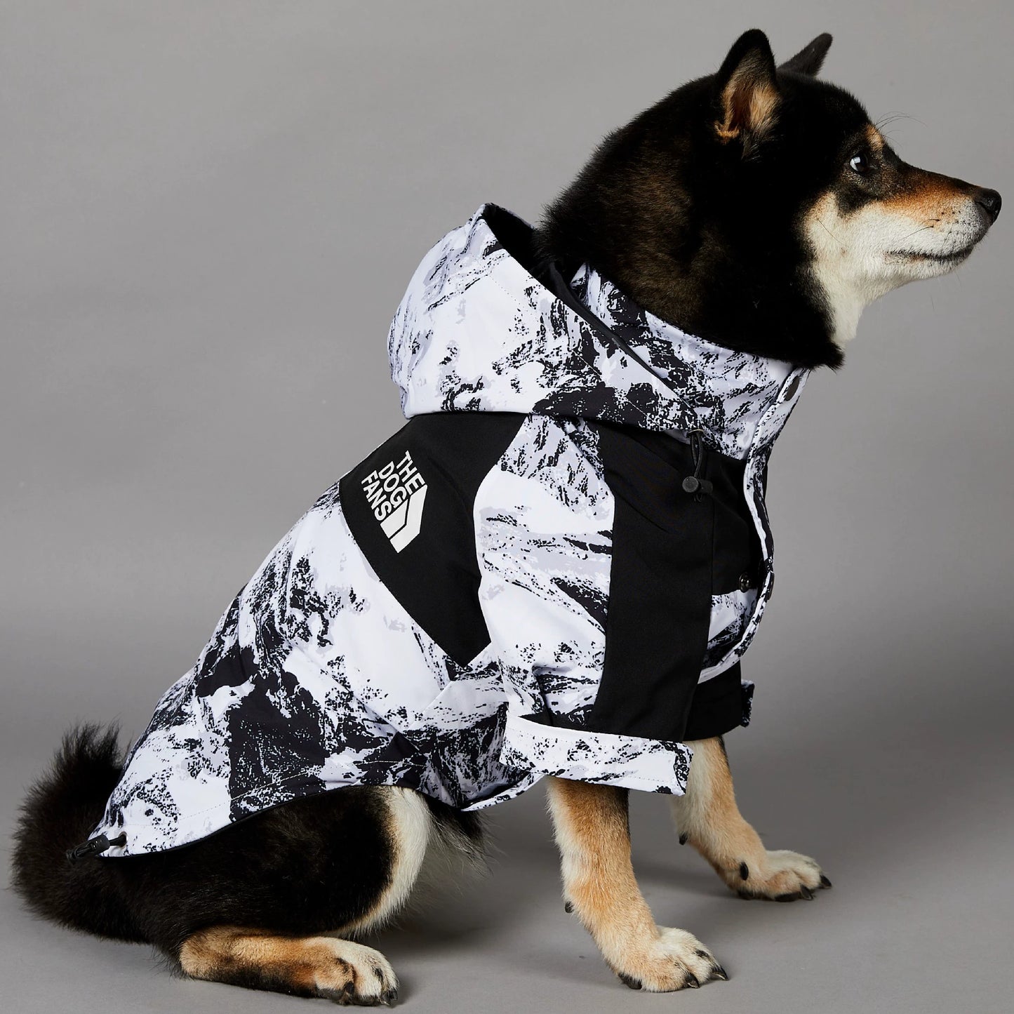 Windproof and Waterproof Outdoor Windbreaker for Large Dogs