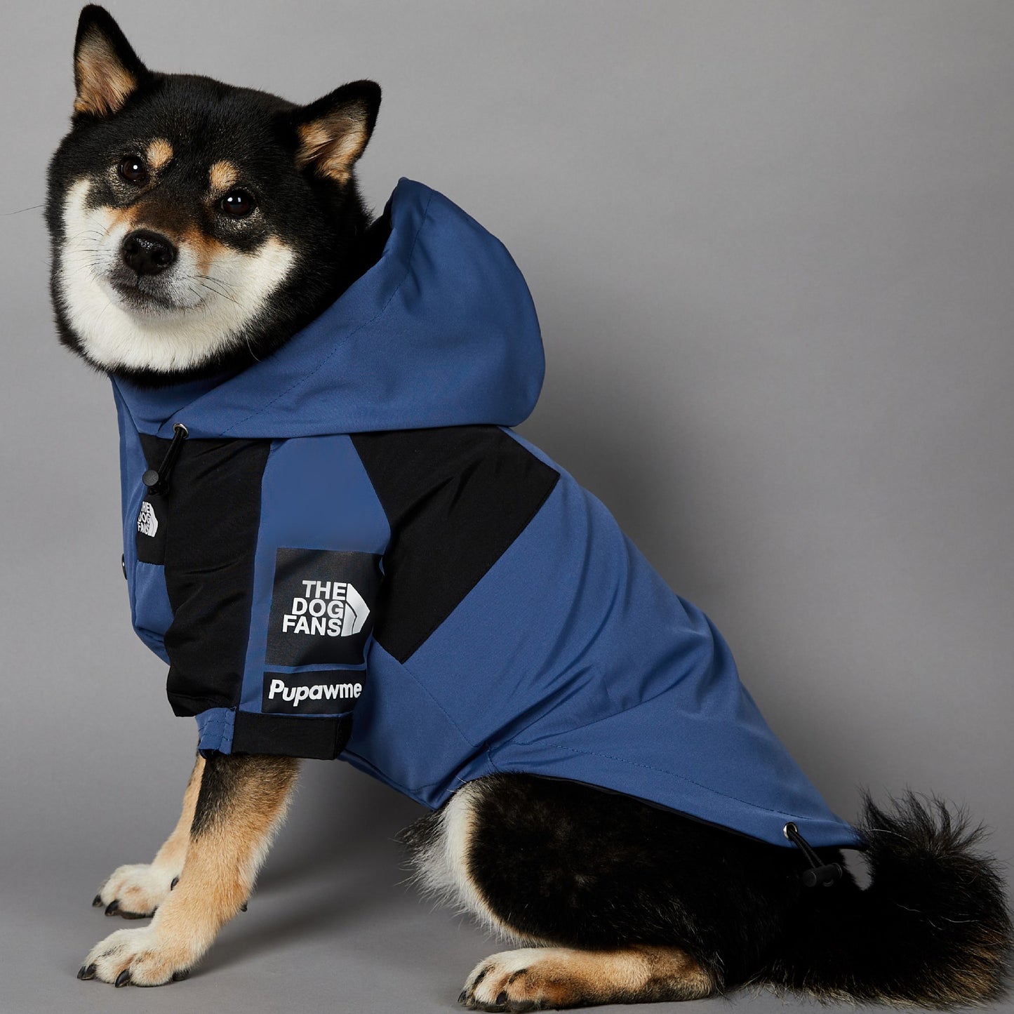 Windproof and Waterproof Outdoor Windbreaker for Large Dogs