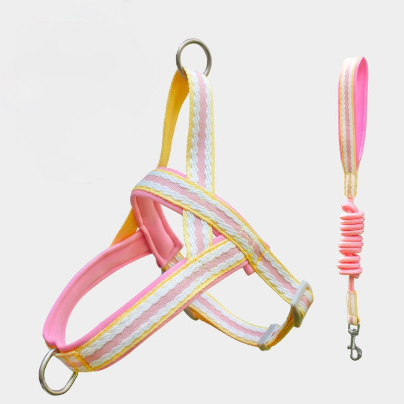 Dog Harness and Leash Set