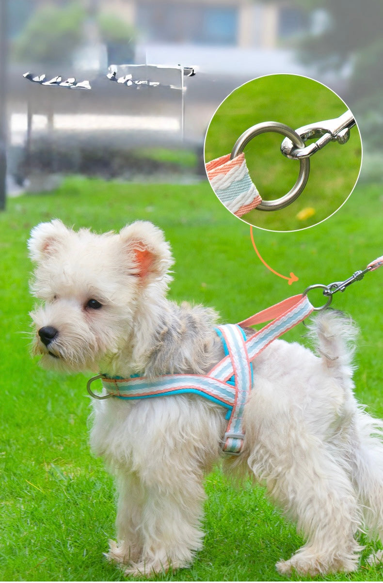 Dog Harness and Leash Set