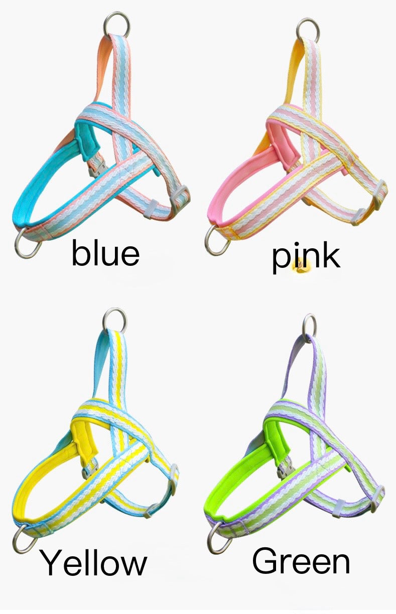 Dog Harness and Leash Set
