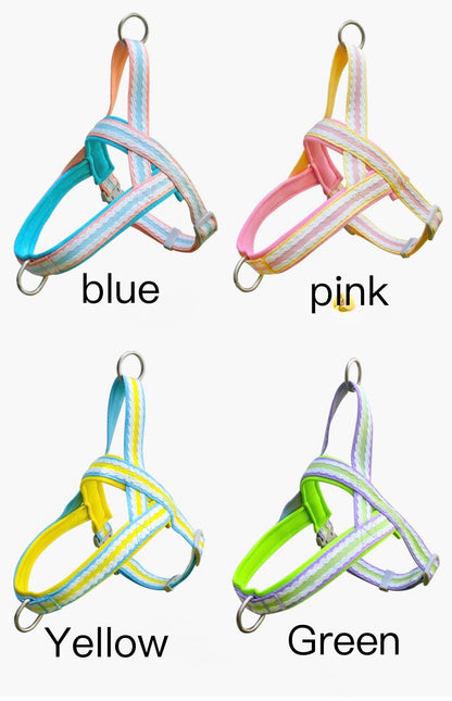 Dog Harness and Leash Set