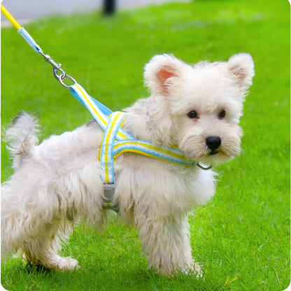Dog Harness and Leash Set