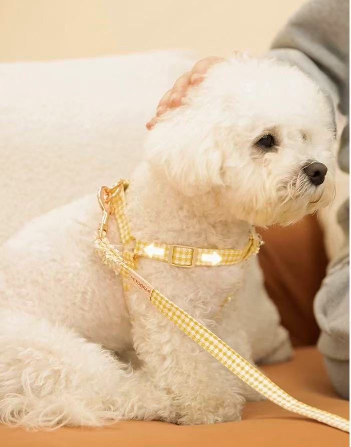 Chanel-Style Small Dog Leash & Harness Set
