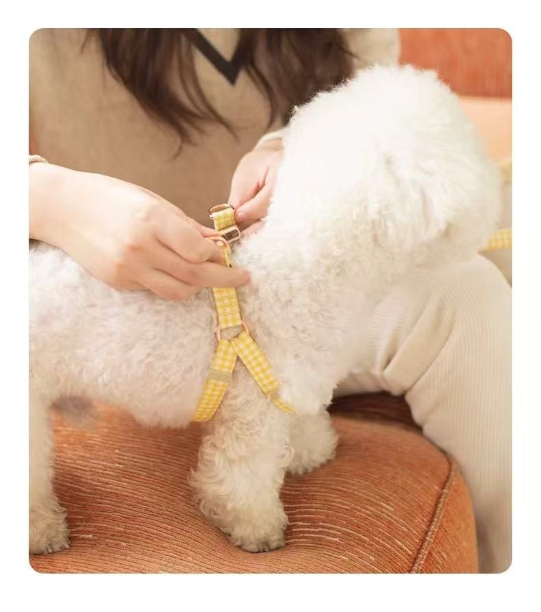 Chanel-Style Small Dog Leash & Harness Set