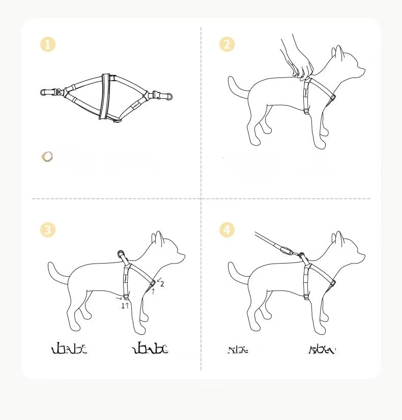 Chanel-Style Small Dog Leash & Harness Set