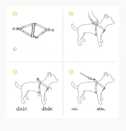 Chanel-Style Small Dog Leash & Harness Set