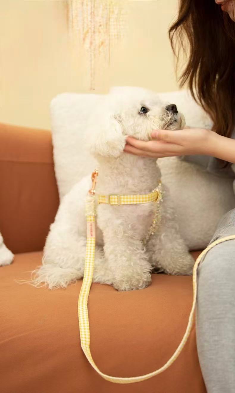 Chanel-Style Small Dog Leash & Harness Set