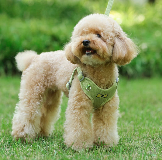 Small Dog Harness and Leash Set – Reflective Vest Design, Soft 3D Velvet