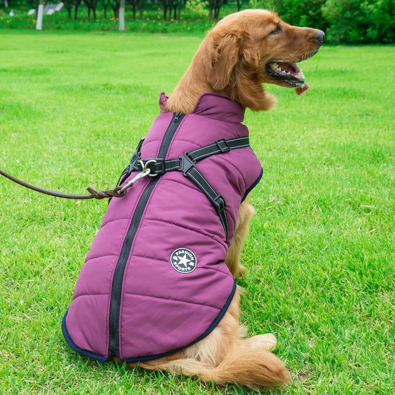 Larege Dog winter Vest