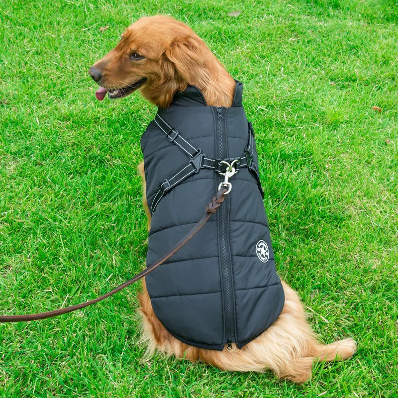Larege Dog winter Vest