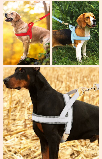 Pet Harness and Leash Set – Lightweight Breathable Vest for Dogs
