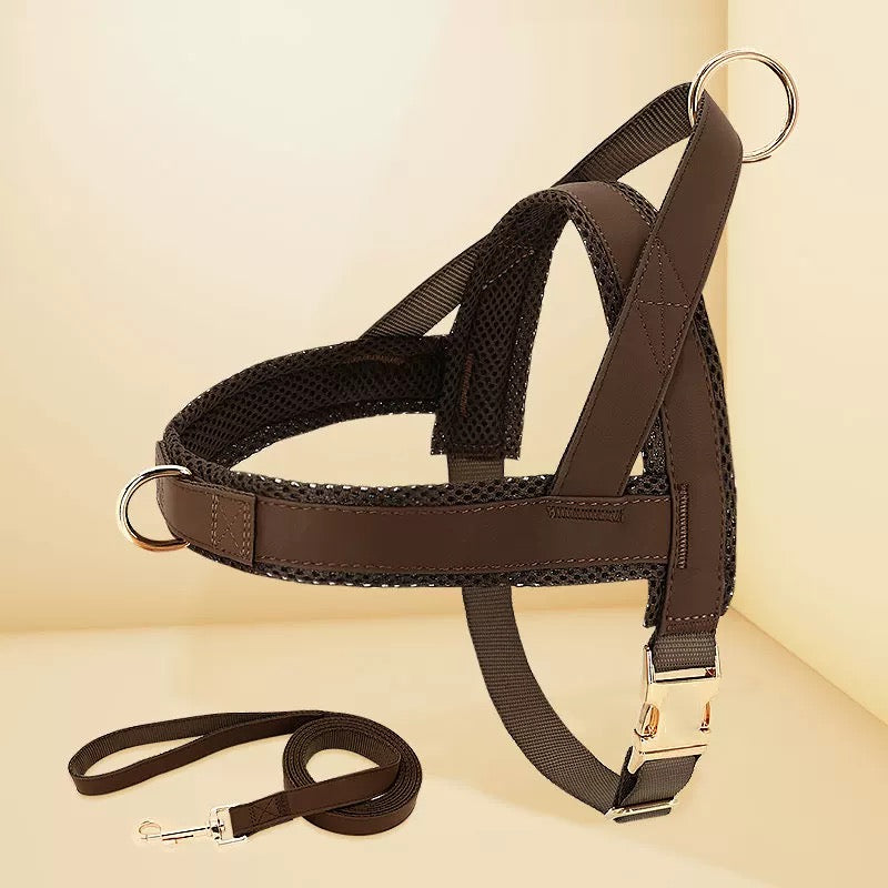 Pet Harness and Leash Set – Lightweight Breathable Vest for Dogs