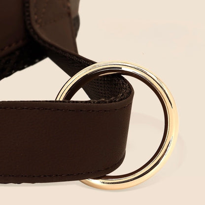 Pet Harness and Leash Set – Lightweight Breathable Vest for Dogs