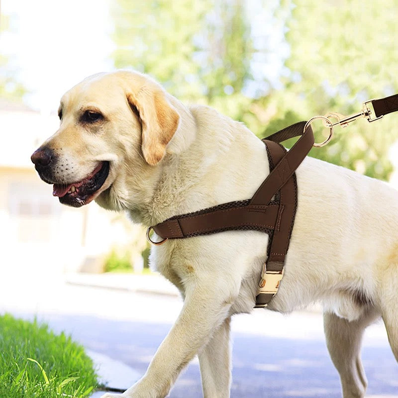 Pet Harness and Leash Set – Lightweight Breathable Vest for Dogs