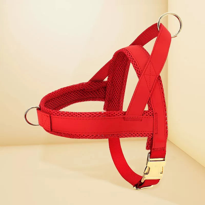 Pet Harness and Leash Set – Lightweight Breathable Vest for Dogs