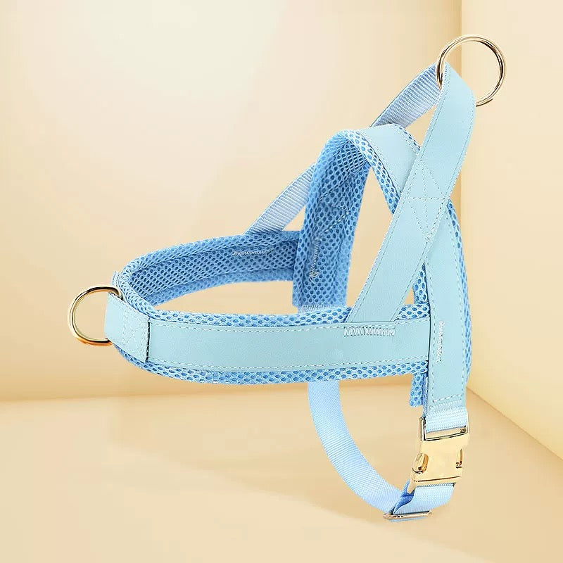 Pet Harness and Leash Set – Lightweight Breathable Vest for Dogs
