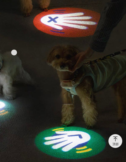 Dog Collar Light
