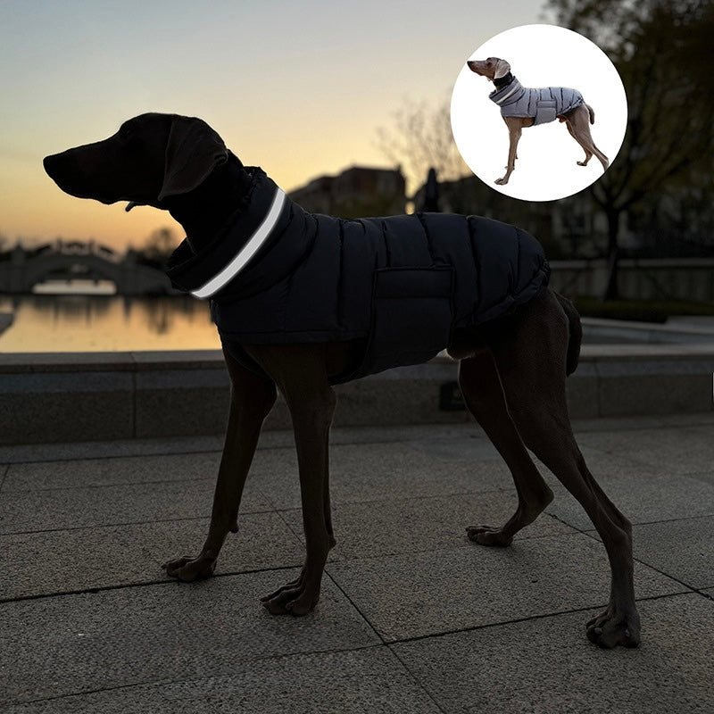 Premium Cotton Jacket for Large Dogs (Suitable for Breeds like Whippets)