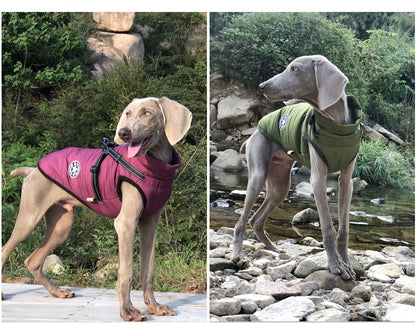 Larege Dog winter Vest