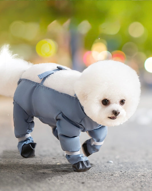 Waterproof & Dirt-Resistant Pet Leggings (4-Leg Design)