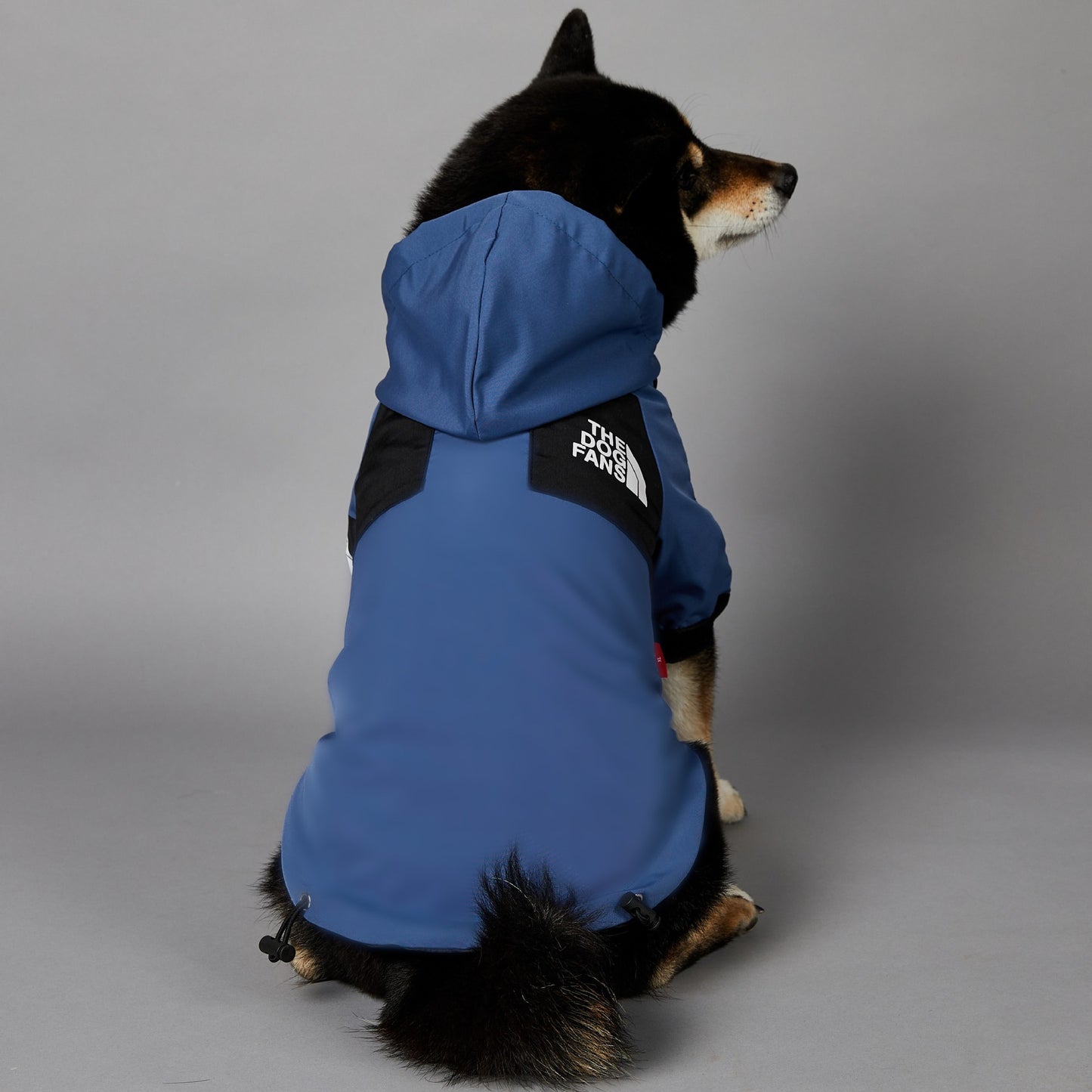 Windproof and Waterproof Outdoor Windbreaker for Large Dogs