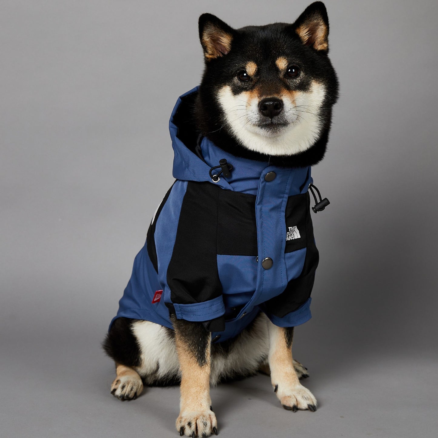 Windproof and Waterproof Outdoor Windbreaker for Large Dogs
