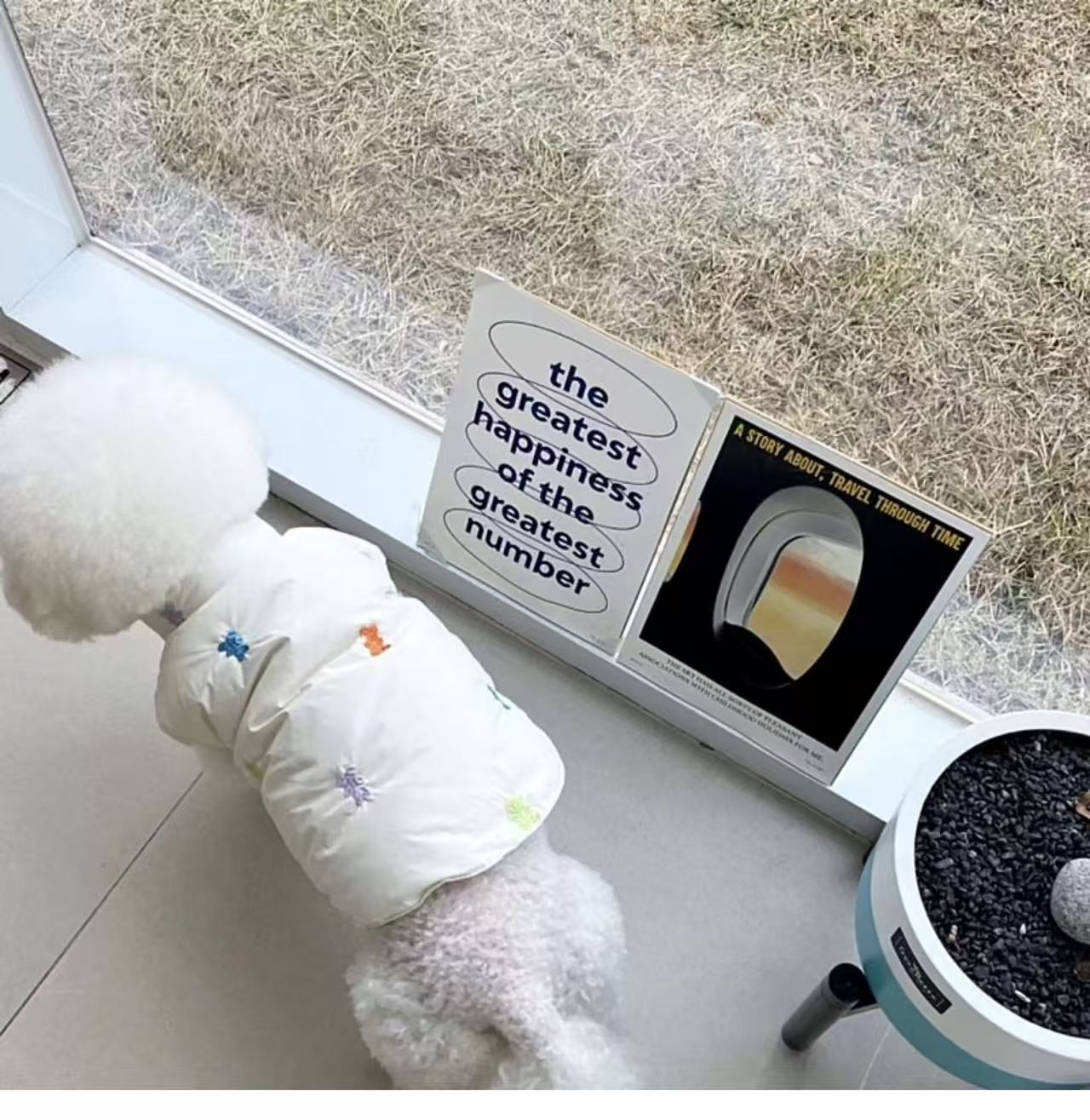 Dog Cotton Vest / Jumpsuit