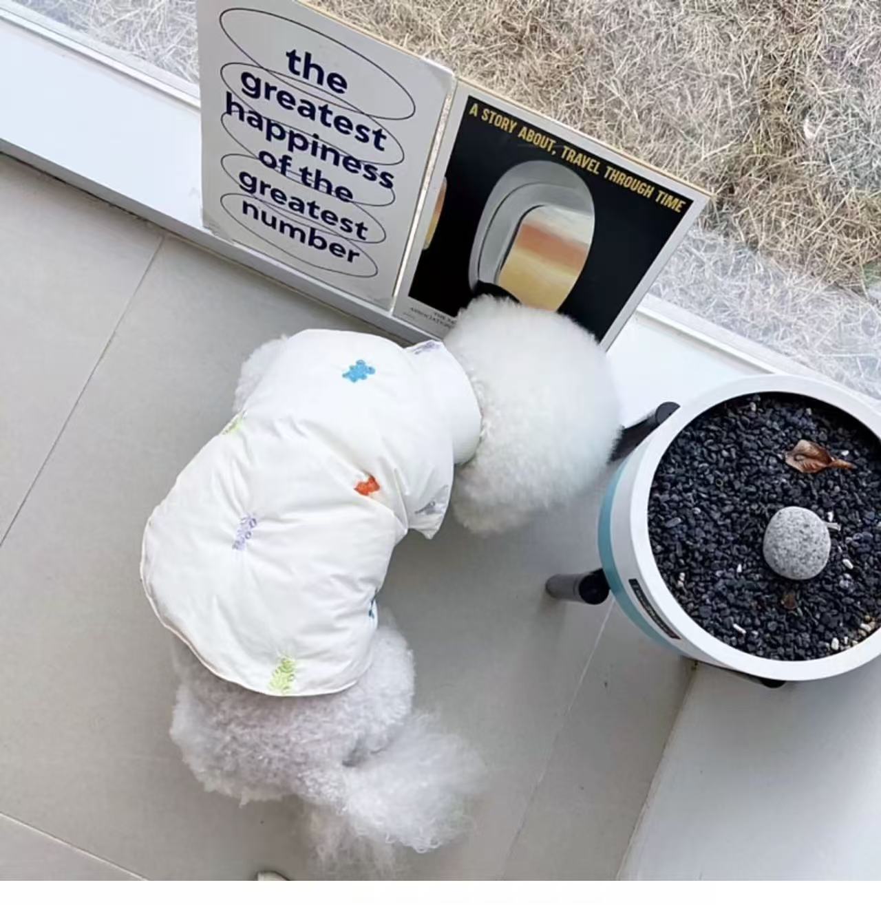 Dog Cotton Vest / Jumpsuit