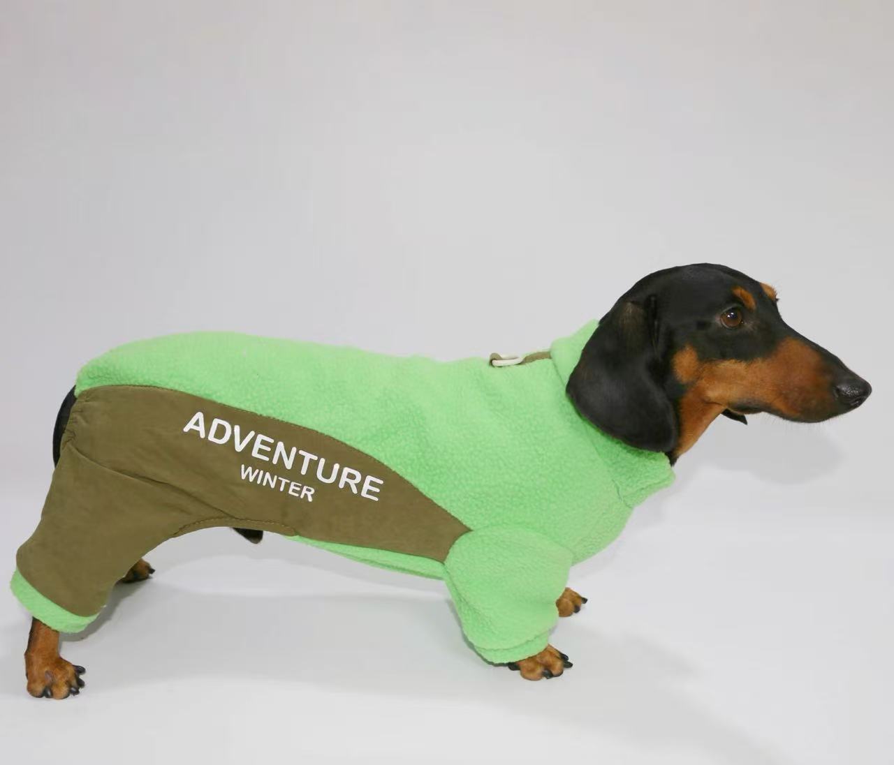 Dachshund winter Outfit