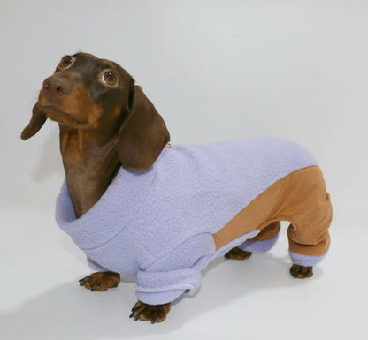 Dachshund winter Outfit
