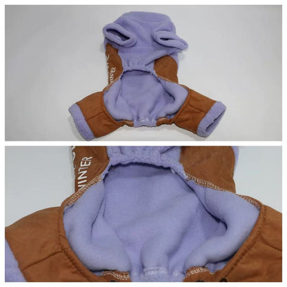 Dachshund winter Outfit