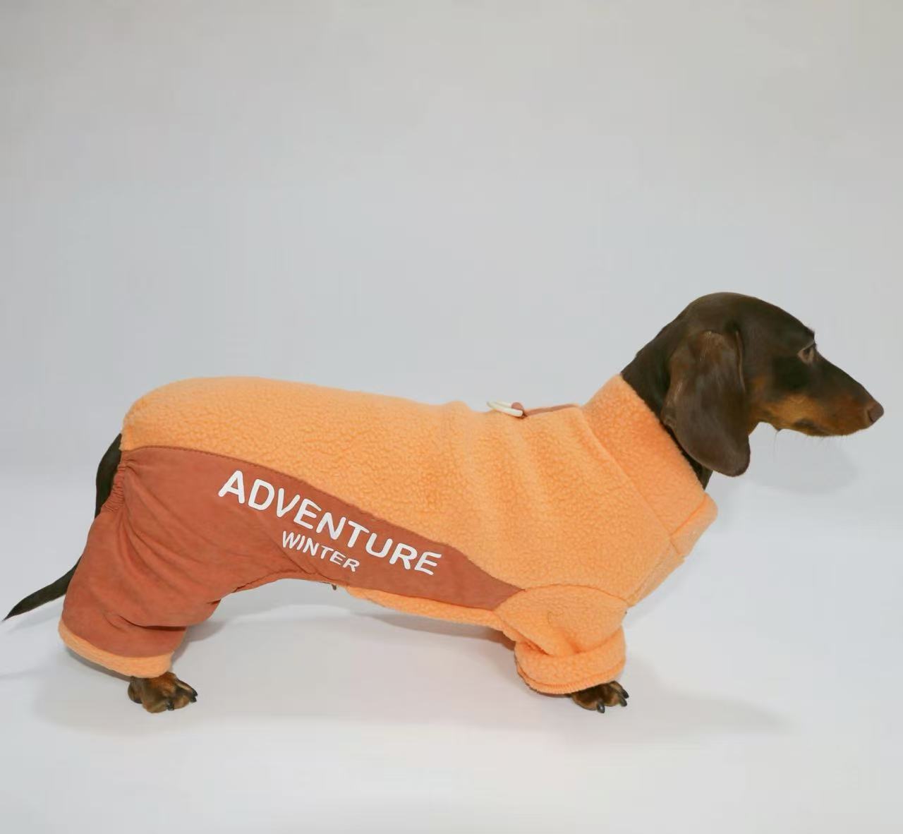 Dachshund winter Outfit