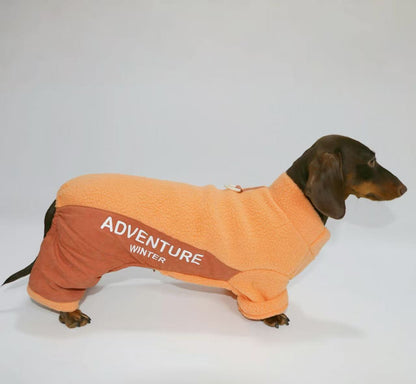 Dachshund winter Outfit