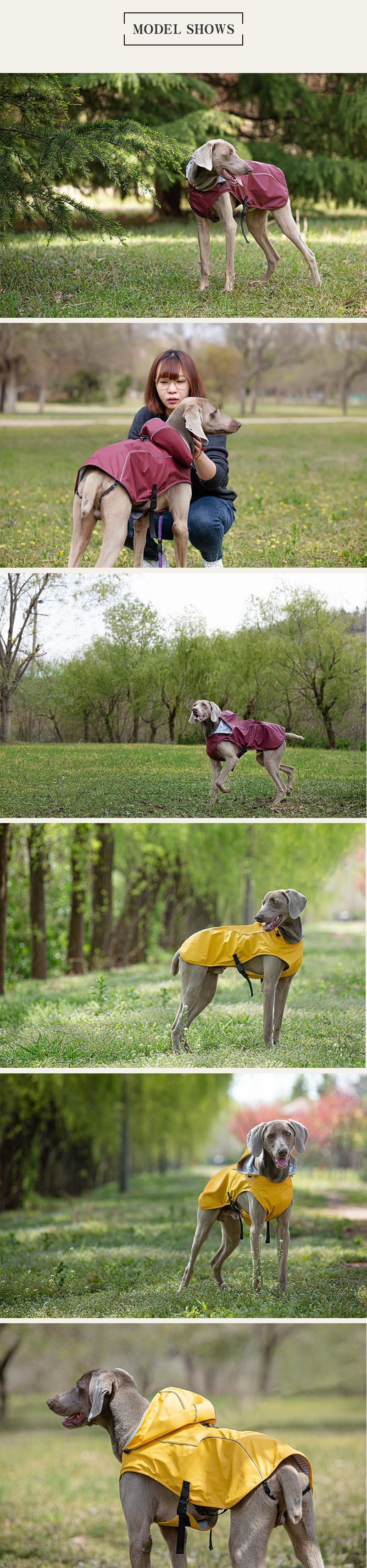 Foldable & Waterproof Dog Raincoat – Hooded, Reflective & Universal Fit for Medium & Large Dogs
