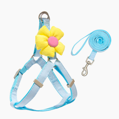 Pet Harness and Leash Set – Lightweight Breathable Vest for Dogs & Cats, Ideal for Summer Walks