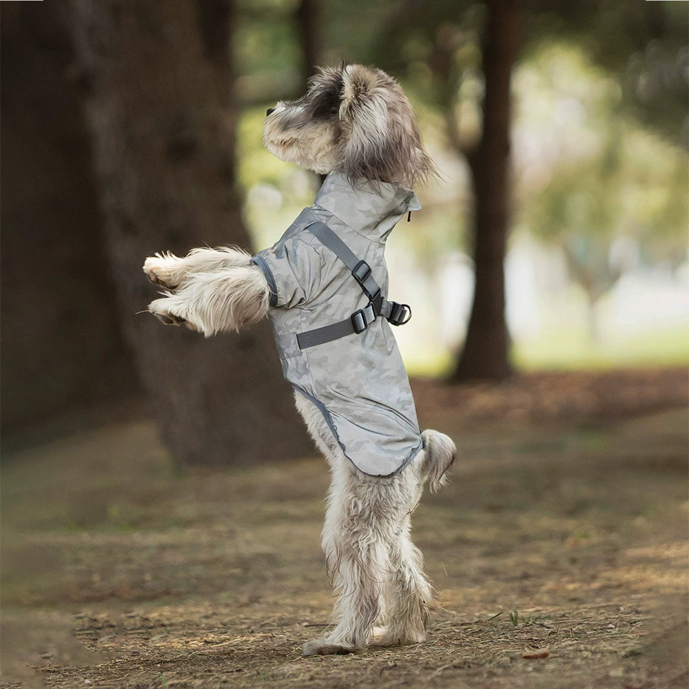 Stylish & Waterproof Dog Raincoat for Small & Medium Breeds