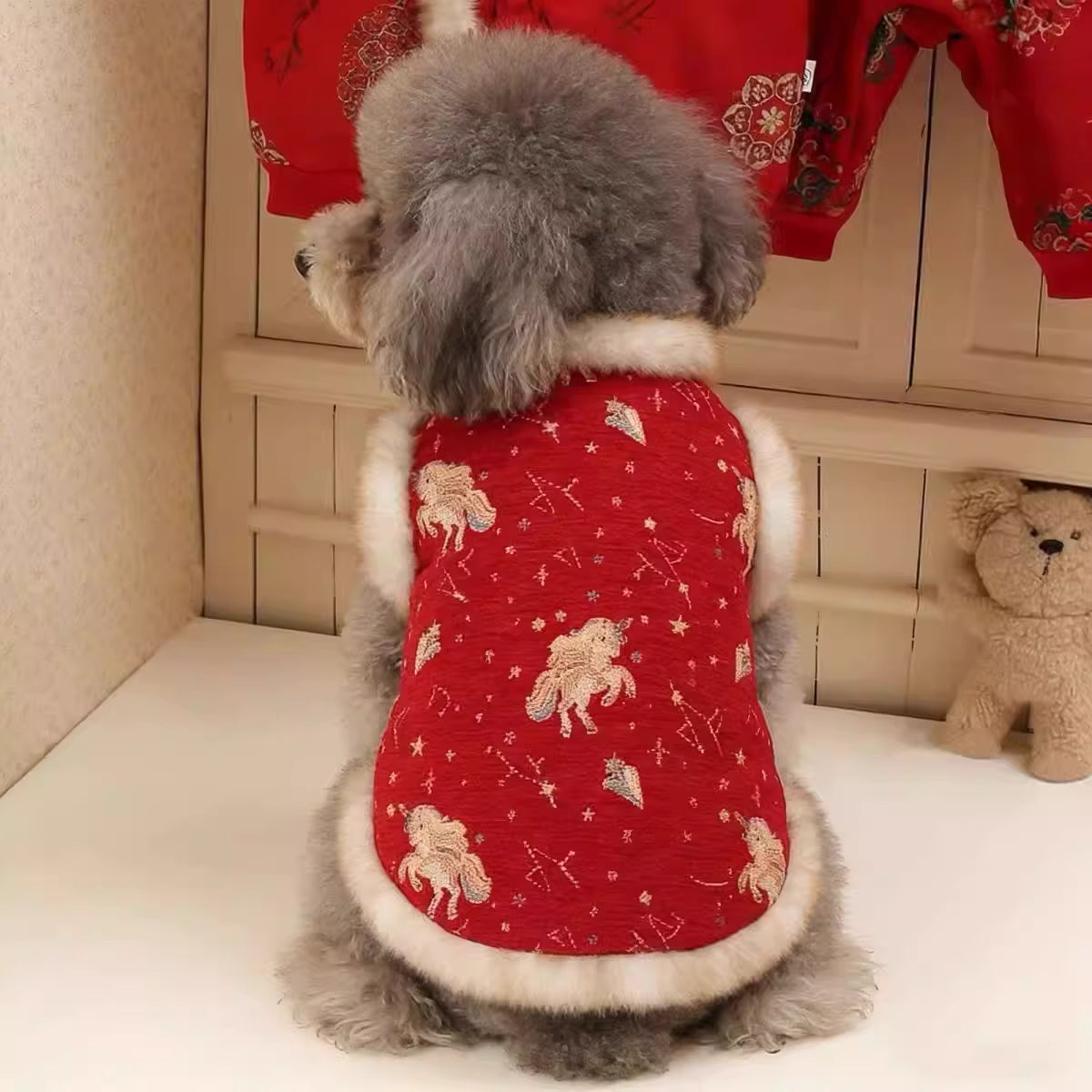 Lunar New Year Outfit