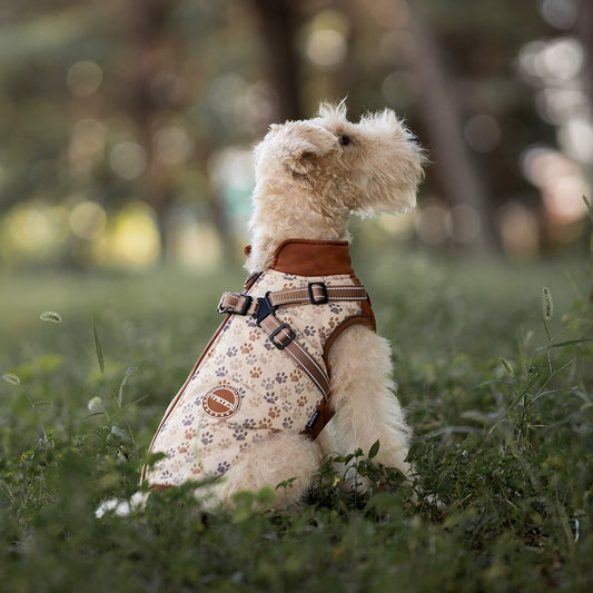 Winter Dog Vest for Small/Medium Breeds – Thickened Cotton Jacket with Leash Hole